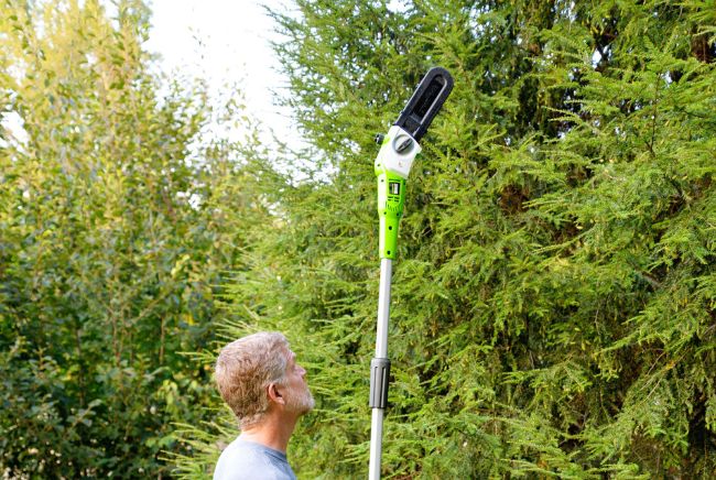 The Bob Vila Team Tests Pole Saws