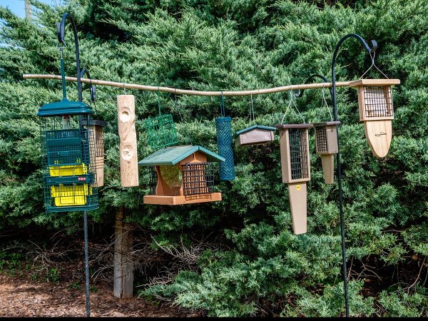 A group of the Best Suet Bird Feeders hanging outdoors together before testing.